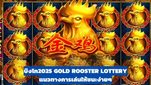 บิงโก2025 GOLD